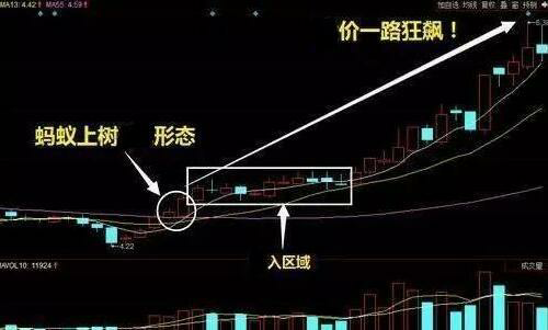 炒股入门指南：新手如何快速学习炒股技巧？