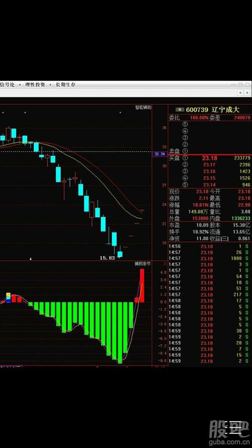 Discover the Top Stock Trading