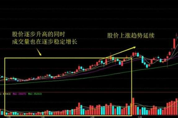 A股: 市场热门股，这些股票是否已经成为你的投资组合中的明星