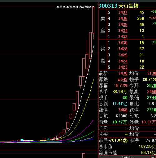 Get Ready for a Bull Run: Dark