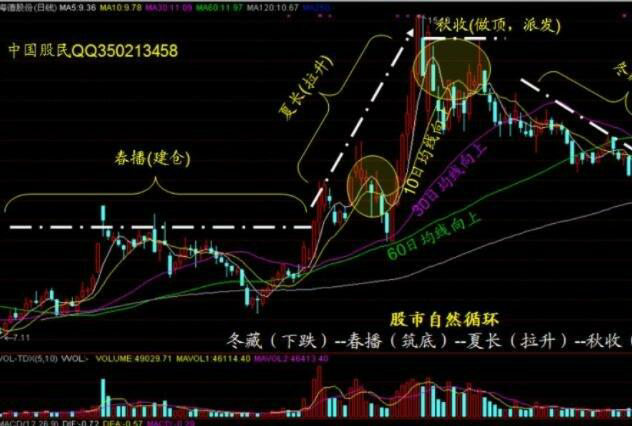 投资攻略：个股分析与推荐策略