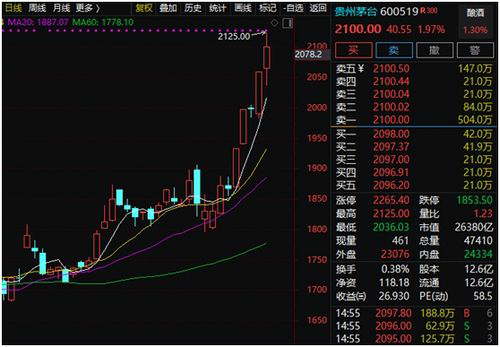 股票频道独家推荐：抓住个股投资机会