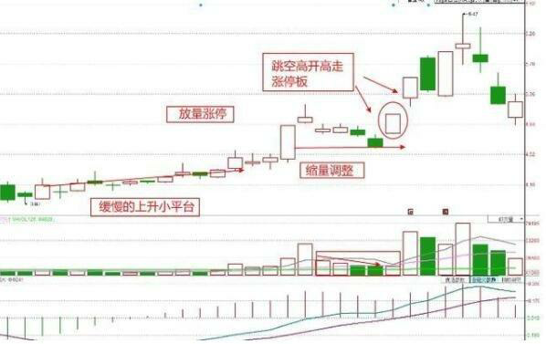 Discover the Best Stock Tradin