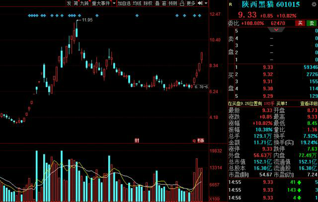 投资新手必读：实用投资建议范例