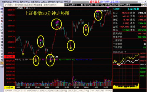Discover the Best Stock Tradin