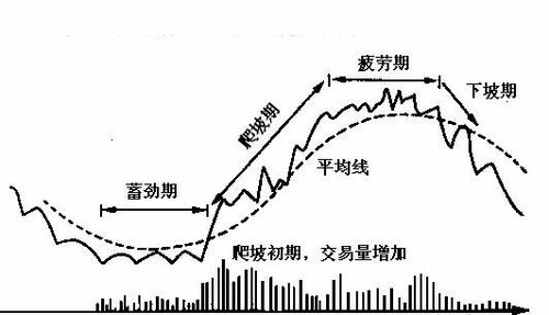 专家杰森称加密货币价格或将突破元，投资者瞩目未来走势