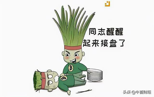 股民必读：学会分析股票财报的关键要点