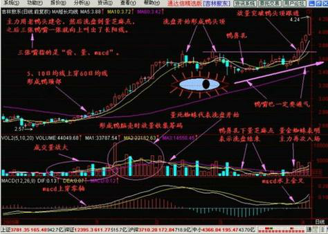 爆炸性新闻: 万亿美元的诈骗事件内幕曝光，震惊全球！