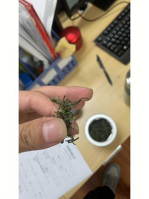 股票行情综合排行榜：解读行情走势，助您把握投资机遇！