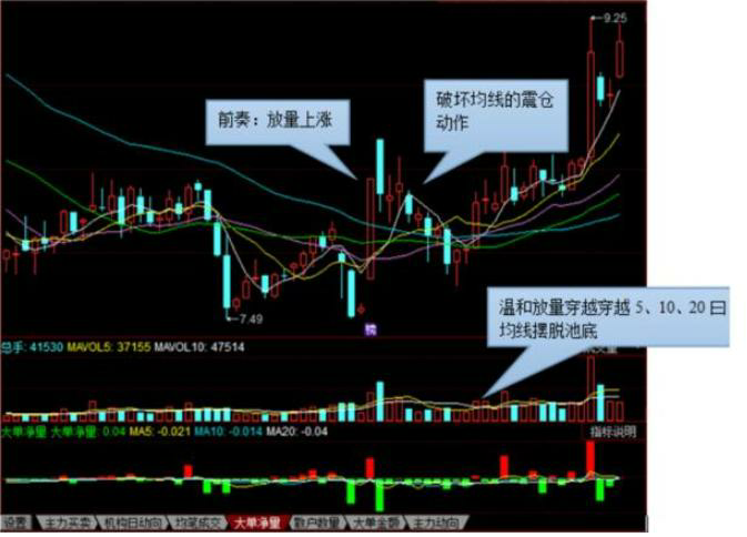 预测股票市场走势：洞察市场风向标