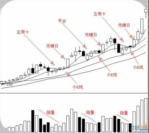 投资者必看！市场上最具潜力的股票有哪些？