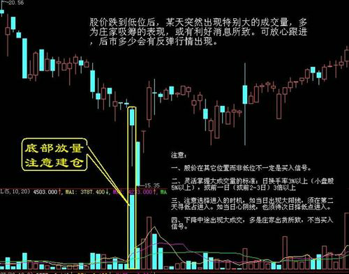 炒股骗局内情曝光：除了骗子，还有哪些人受益匪浅？