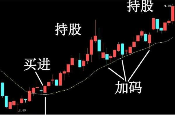 研究报告揭示：未来股市中哪些股票将迎来上涨行情？